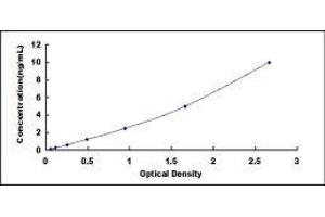 Typical standard curve (Histone H4 ELISA Kit)