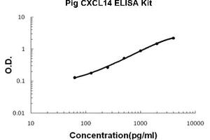 Pig CXCL14 PicoKine ELISA Kit standard curve (CXCL14 ELISA Kit)