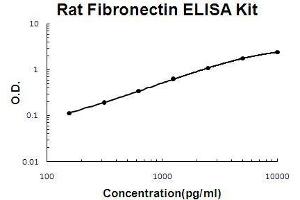 Rat Fibronectin PicoKine ELISA Kit standard curve (Fibronectin 1 ELISA Kit)