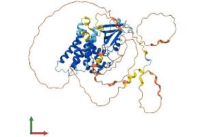 AlphaFold protein structure predicition of Human Recombinant CNKSR3 Protein, UniprotID Q6P9H4