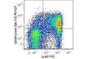 Flow Cytometry (FACS) image for anti-Sialic Acid Binding Ig-Like Lectin 1, Sialoadhesin (SIGLEC1) antibody (PE-Cy7) (ABIN2659130) (Sialoadhesin/CD169 antibody  (PE-Cy7))