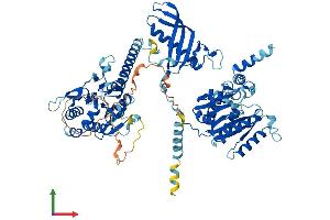 AlphaFold protein structure predicition of Human Recombinant CHPF Protein, UniprotID Q8IZ52