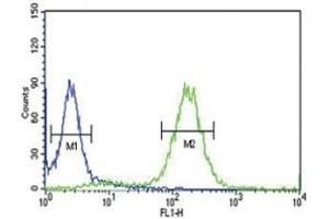 Anti-PCSK9 antibody flow cytometric analysis of HeLa cells (right histogram) compared to a negative control (left histogram). (PCSK9 antibody  (AA 479-508))