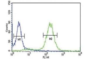 Anti-PCSK9 antibody flow cytometric analysis of HeLa cells (right histogram) compared to a negative control (left histogram).