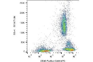 Surface staining of human peripheral blood cells with anti-human CD45 (HI30) purified, GAM-APC. (CD45 antibody)