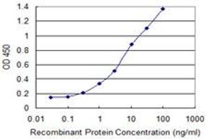 Detection limit for recombinant GST tagged PTPN5 is 0. (PTPN5 antibody  (AA 388-486))