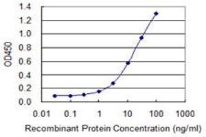 Detection limit for recombinant GST tagged TFDP1 is 0. (DP1 antibody  (AA 112-220))