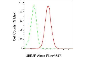 Flow cytometric analysis of UBE2F expression in HAP-1 cells using UBE2F antibody (ABIN7800745), 1:2,000). (Recombinant UBE2F antibody)