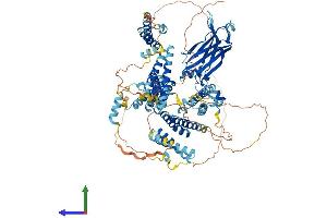 AlphaFold protein structure predicition of Mouse Recombinant Cc2d1a Protein, UniprotID Q8K1A6
