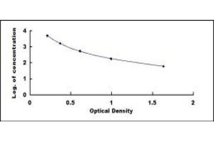 Typical standard curve (beta-Crosslaps (bCTx) ELISA Kit)