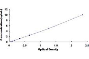 Typical standard curve (Adenosine A2a Receptor ELISA Kit)