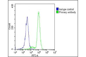 Overlay histogram showing K562 cells stained with (ABIN653968 and ABIN2843918)(green line). (POTEE antibody  (AA 380-409))