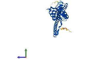 AlphaFold protein structure predicition of Mouse Recombinant Rpl7 Protein, UniprotID P14148 (RPL7 Protein (AA 1-270) (His tag))