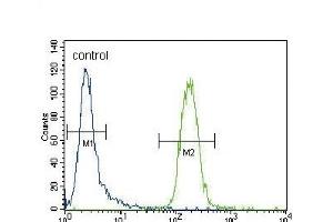 CYP3A4 Antibody (Center) ABIN392216 flow cytometric analysis of CEM cells (right histogram) compared to a negative control cell (left histogram). (CYP3A4 antibody  (AA 228-255))
