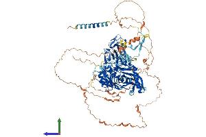 AlphaFold protein structure predicition of Mouse Recombinant B4galnt4 Protein, UniprotID Q766D5