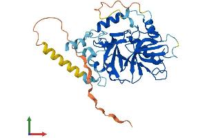 AlphaFold protein structure predicition of Mouse Recombinant Snupn Protein, UniprotID Q80W37