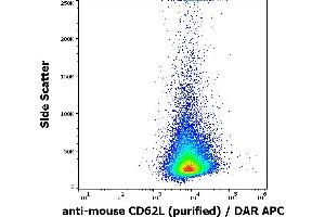 Flow cytometry surface staining pattern of murine splenocytes stained using anti-mouse CD62L (Mel-14) purified antibody (concentration in sample 4 μg/mL, DAR APC). (L-Selectin antibody)