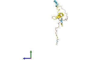 Protein Structure (PS) image for Protamine 3 (PRM3) (AA 1-103) protein (His tag) (ABIN7551045)