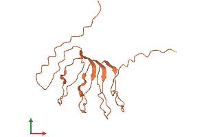 AlphaFold protein structure predicition of Human Recombinant PLAC4 Protein, UniprotID Q8WY50 (PLAC4 Protein (AA 1-150) (His tag))