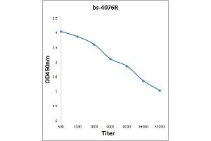 Antigen: 0. (E2F1 antibody  (pSer364))