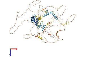 AlphaFold protein structure predicition of Human Recombinant ELOA2 Protein, UniprotID Q8IYF1 (TCEB3B Protein (AA 1-753) (His tag))