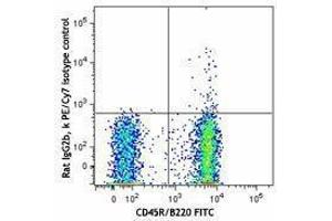 Flow Cytometry (FACS) image for anti-Chemokine (C-X-C Motif) Receptor 5 (CXCR5) antibody (PE-Cy7) (ABIN2659141) (CXCR5 antibody  (PE-Cy7))