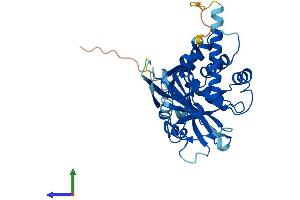 Protein Structure (PS) image for Ubiquitin Specific Peptidase 12 (USP12) (AA 1-370) protein (His tag) (ABIN7545017)