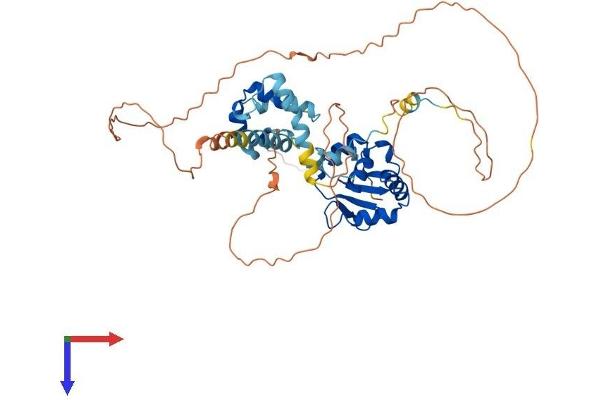 ETS2 Protein (AA 1-469) (His tag)