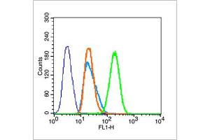 Hela cells were fixed with 70% ice-cold methanol overnight at 4℃, permeabilized with 90% ice-cold methanol for 20 min at -20℃, and incubated in 5% BSA blocking buffer for 30 min at room temperature.