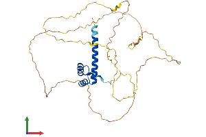 AlphaFold protein structure predicition of Mouse Recombinant Hoxd10 Protein, UniprotID P28359 (HOXD10 Protein (AA 1-340) (His tag))