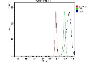 Flow Cytometry analysis of U87 cells using anti-Carbonic Anhydrase 9/CA9 antibody (ABIN7600076).