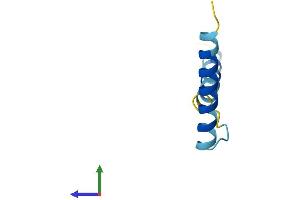 Protein Structure (PS) image for Small EDRK-Rich Factor 2 (SERF2) (AA 1-59) protein (Fc Tag) (ABIN7545973)