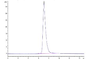 Size-exclusion chromatography-High Pressure Liquid Chromatography (SEC-HPLC) image for C-Mer Proto-Oncogene Tyrosine Kinase (MERTK) (AA 19-497) protein (His tag) (ABIN7275244)