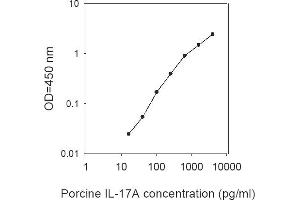 ELISA image for Interleukin 17A (IL17A) ELISA Kit (ABIN1979429) (Interleukin 17a ELISA Kit)