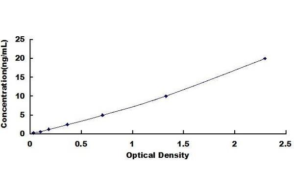 USP8 ELISA Kit