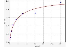 Glutamic-Oxaloacetic Transaminase 1, Soluble (Aspartate Aminotransferase 1) (GOT1) ELISA Kit