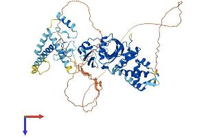 AlphaFold protein structure predicition of Mouse Recombinant Kat7 Protein, UniprotID Q5SVQ0 (MYST2 Protein (AA 1-613) (His tag))