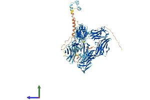 AlphaFold protein structure predicition of Human Recombinant MYBPC2 Protein, UniprotID Q14324