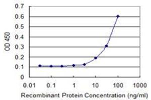 Detection limit for recombinant GST tagged CDKL3 is 3 ng/ml as a capture antibody. (CDKL3 antibody  (AA 322-420))