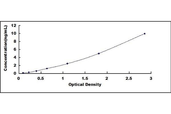 RGS ELISA Kit