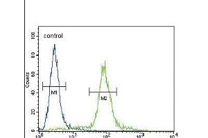 ITGA11 Antibody (N-term)  flow cytometric analysis of Neuro-2a cells (right histogram) compared to a negative control cell (left histogram). (ITGA11 antibody  (N-Term))