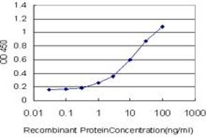 Detection limit for recombinant GST tagged CD93 is approximately 0. (CD93 antibody  (AA 33-140))