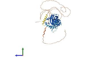 Protein Structure (PS) image for Early B-Cell Factor 4 (EBF4) (AA 1-599) protein (His tag) (ABIN7559573)
