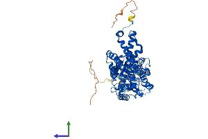 AlphaFold protein structure predicition of Human Recombinant STEAP2 Protein, UniprotID Q8NFT2 (STEAP2 Protein (AA 1-490) (His tag))
