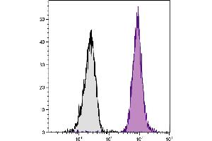 C57BL/6 mouse splenocytes were stained with Mouse Anti-Mouse CD45. (CD45.2 antibody  (Cy5))