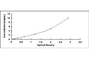 Typical standard curve (BAFF ELISA Kit)