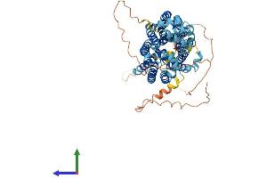 AlphaFold protein structure predicition of Mouse Recombinant Slc2a12 Protein, UniprotID Q8BFW9