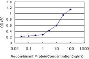 Detection limit for recombinant GST tagged TEK is approximately 0. (TEK antibody  (AA 701-800))