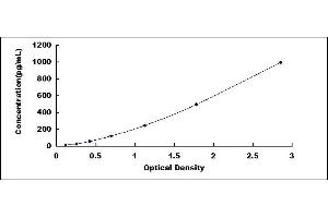 Fibroblast Growth Factor 14 (FGF14) ELISA Kit