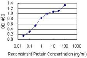 Detection limit for recombinant GST tagged SGCD is 0. (SGCD antibody  (AA 114-189))